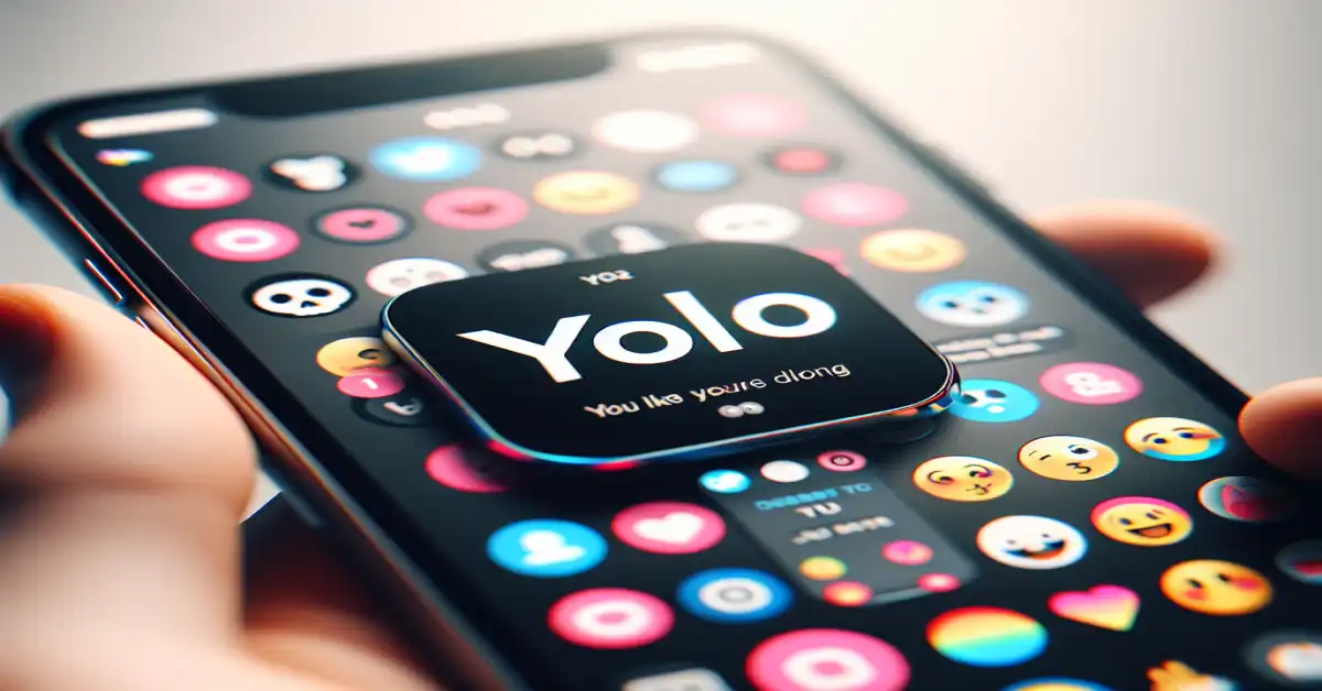 what does yolo mean in text